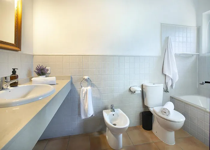 Willa Owl Barrio - Family And Friends Pollensa