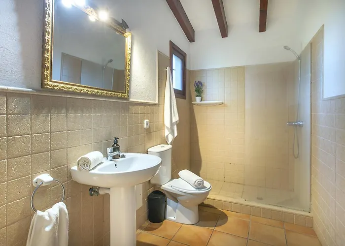 Owl Barrio - Family And Friends Villa